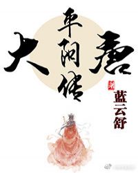 大唐平阳传